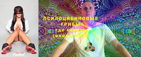 PSILOCYBIN Алзамай